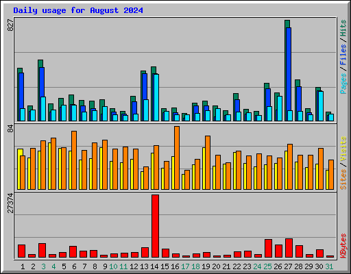 Daily usage for August 2024