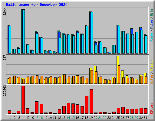 Daily usage for December 2024