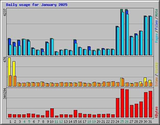 Daily usage for January 2025