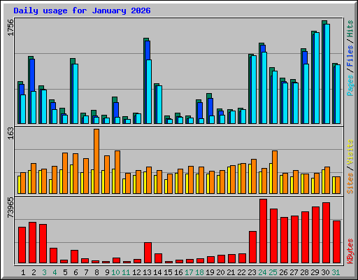 Daily usage for January 2026