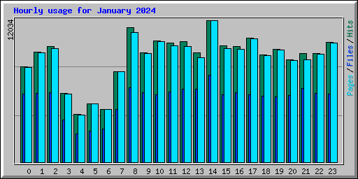 Hourly usage for January 2024