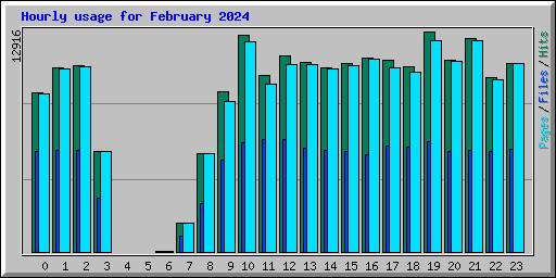 Hourly usage for February 2024