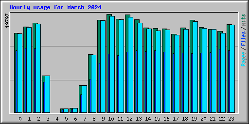 Hourly usage for March 2024