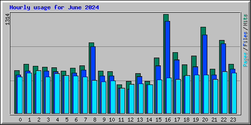 Hourly usage for June 2024