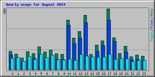 Hourly usage for August 2024