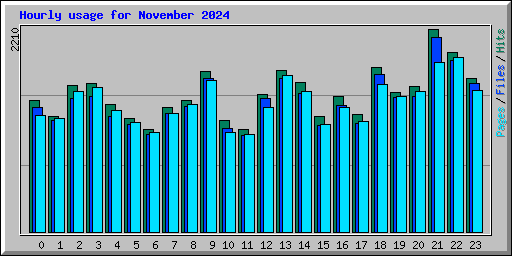 Hourly usage for November 2024