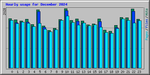 Hourly usage for December 2024