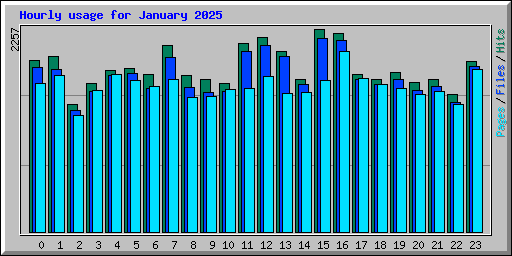 Hourly usage for January 2025