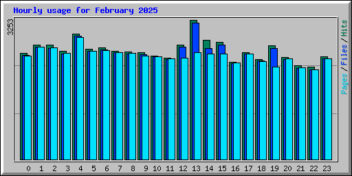 Hourly usage for February 2025