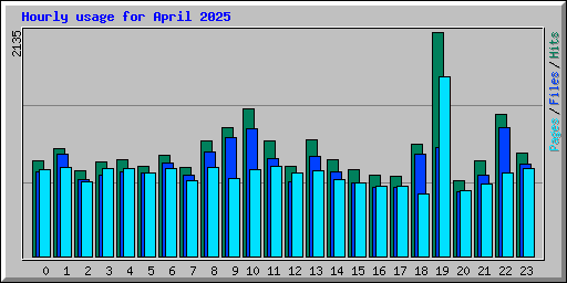 Hourly usage for April 2025