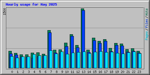 Hourly usage for May 2025