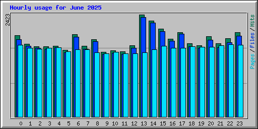 Hourly usage for June 2025