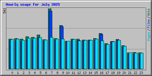 Hourly usage for July 2025