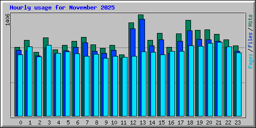 Hourly usage for November 2025
