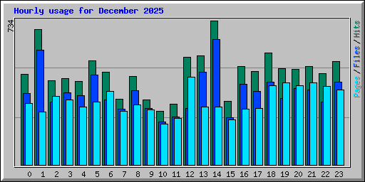 Hourly usage for December 2025
