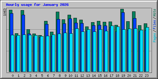 Hourly usage for January 2026