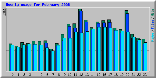 Hourly usage for February 2026